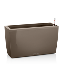 Load image into Gallery viewer, Cararo