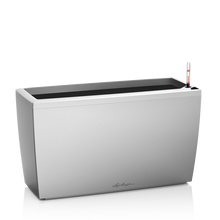 Load image into Gallery viewer, Cararo