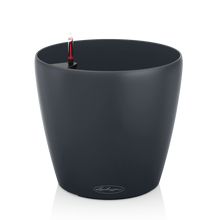 Load image into Gallery viewer, Classico