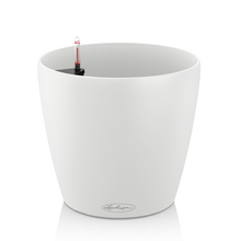 Load image into Gallery viewer, Classico