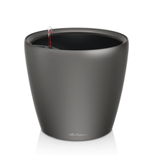 Load image into Gallery viewer, Classico