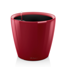 Load image into Gallery viewer, Classico