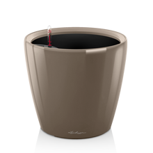 Load image into Gallery viewer, Classico