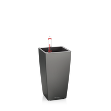 Load image into Gallery viewer, Cubi