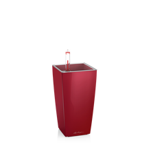 Load image into Gallery viewer, Cubi