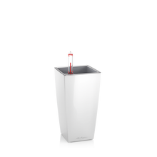 Load image into Gallery viewer, Cubi