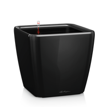 Load image into Gallery viewer, Quadro