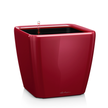 Load image into Gallery viewer, Quadro