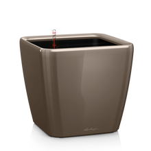 Load image into Gallery viewer, Quadro