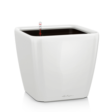 Load image into Gallery viewer, Quadro