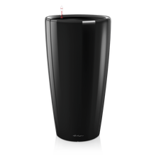 Load image into Gallery viewer, Rondo