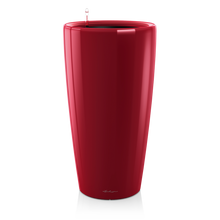 Load image into Gallery viewer, Rondo