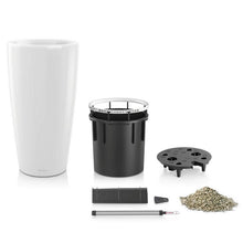 Load image into Gallery viewer, Rondo