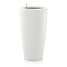 Load image into Gallery viewer, Rondo