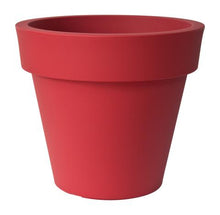 Load image into Gallery viewer, Ikon