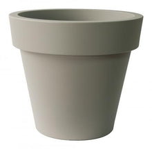 Load image into Gallery viewer, Ikon