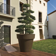 Load image into Gallery viewer, Ikon