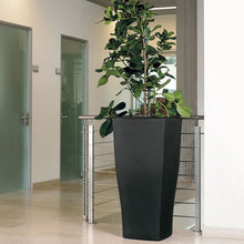 Load image into Gallery viewer, Quadrum