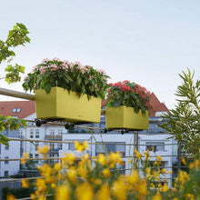 Load image into Gallery viewer, Balconera
