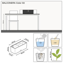 Load image into Gallery viewer, Balconera
