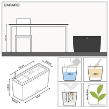 Load image into Gallery viewer, Cararo
