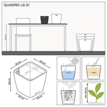 Load image into Gallery viewer, Quadro
